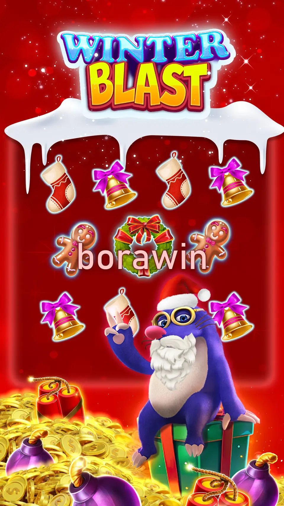 borawin Login